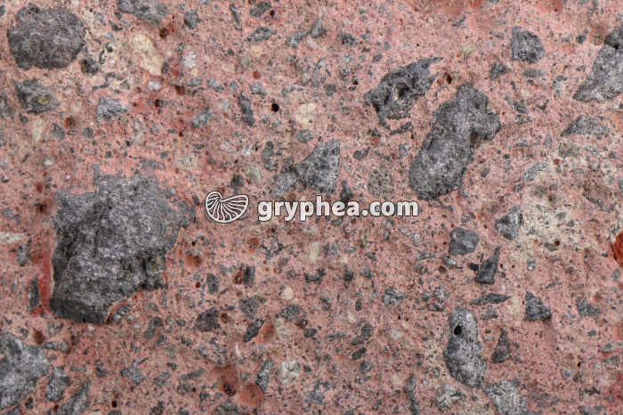 Brêche volcanique - détail - gryphea.com